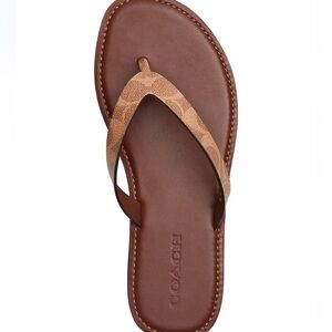 Coach Women's Brianna Flip Flop Sandals
